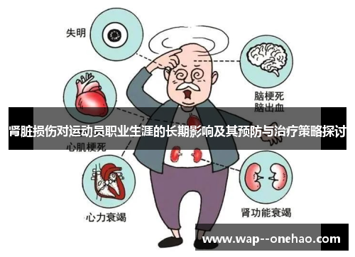 肾脏损伤对运动员职业生涯的长期影响及其预防与治疗策略探讨