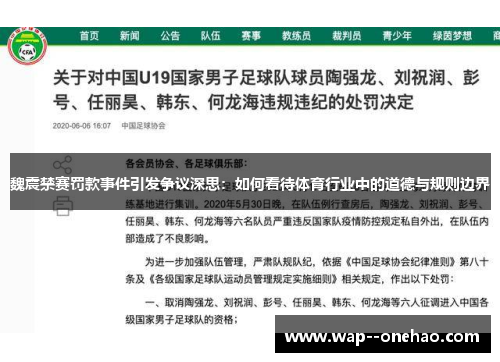 魏震禁赛罚款事件引发争议深思:如何看待体育行业中的道德与规则边界 魏震禁赛罚款事件引发争议深思:如何看待体育行业中的道德与规则边界